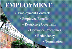 employment ebrief footer.jpg